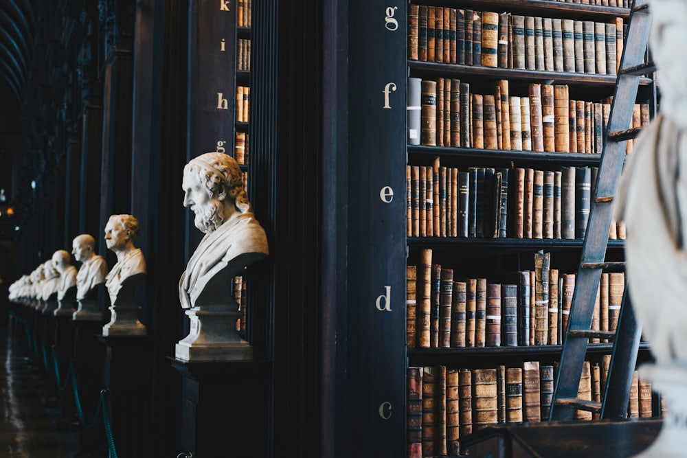 A long, traditional library hall lined with old books and stone busts.