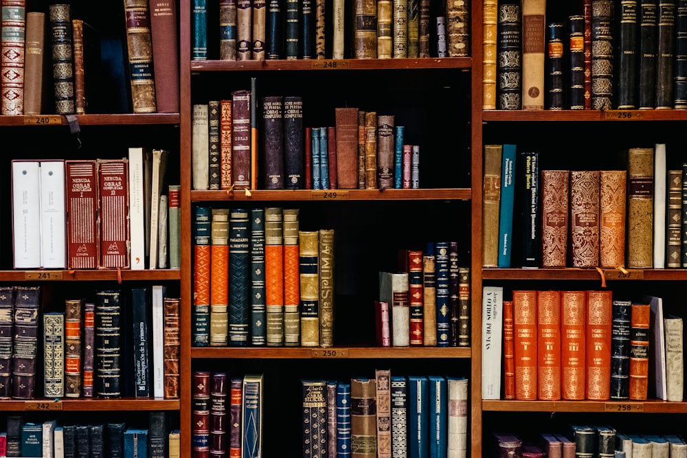Rows of bound legal volumes filling a wooden bookshelf.
